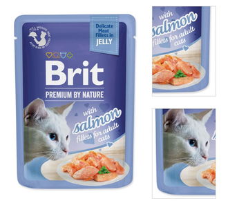 Brit Premium cat delicate kapsička filety v želé s lososom 85 g 3