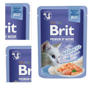 Brit Premium cat delicate kapsička filety v želé s lososom 85 g 4