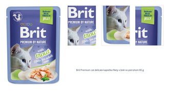 Brit Premium cat delicate kapsička filety v želé so pstruhom 85 g 1