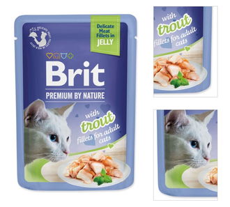 Brit Premium cat delicate kapsička filety v želé so pstruhom 85 g 3