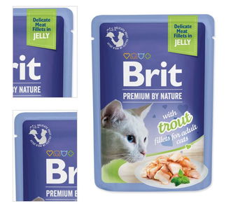 Brit Premium cat delicate kapsička filety v želé so pstruhom 85 g 4