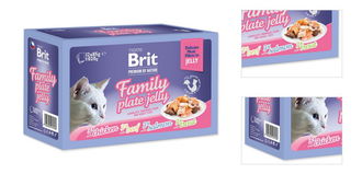 Brit Premium cat delicate kapsičky filety v želé family plate 12 x 85 g 3