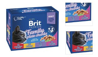 BRIT Premium Cat Family Plate kaps.1200g (12x100g) 3