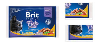 BRIT Premium Cat Fish 4x100g 3