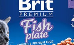 BRIT Premium Cat Fish 4x100g 5