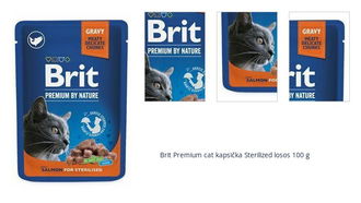 Brit Premium cat kapsička Sterilized losos 100 g 1