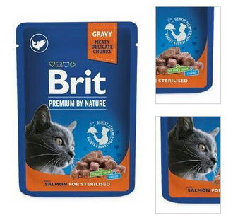 Brit Premium cat kapsička Sterilized losos 100 g 3