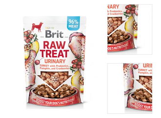 Brit Raw Treat Urinary maškrty morka 40 g 3