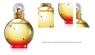 Britney Spears Fantasy Blissful toaletná voda pre ženy 100 ml 1