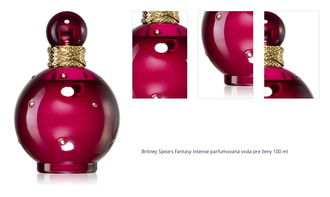 Britney Spears Fantasy Intense parfumovaná voda pre ženy 100 ml 1