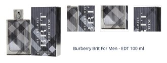 Burberry Brit For Men - EDT 100 ml 1