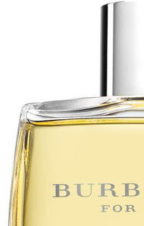 Burberry Burberry for Men toaletná voda pre mužov 100 ml 6