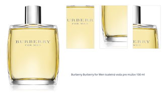 Burberry Burberry for Men toaletná voda pre mužov 100 ml 1