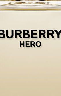 Burberry Hero toaletná voda pre mužov 100 ml 5