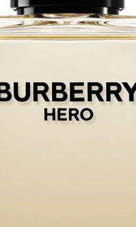 Burberry Hero toaletná voda plniteľná pre mužov 50 ml 5