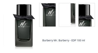 Burberry Mr. Burberry - EDP 100 ml 1