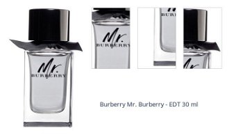 Burberry Mr. Burberry - EDT 30 ml 1