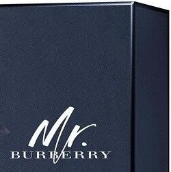 Burberry Mr. Burberry Indigo - EDT 100 ml 4