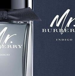 Burberry Mr. Burberry Indigo - EDT 100 ml 2
