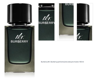 Burberry Mr. Burberry parfumovaná voda pre mužov 100 ml 1