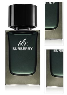 Burberry Mr. Burberry parfumovaná voda pre mužov 100 ml 3