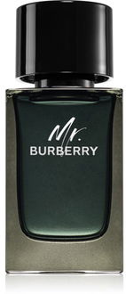 Burberry Mr. Burberry parfumovaná voda pre mužov 100 ml