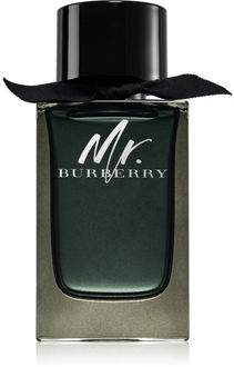 Burberry Mr. Burberry parfumovaná voda pre mužov 150 ml