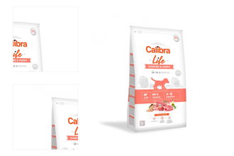 CALIBRA dog LIFE Starter &amp; Puppy LAMB - 12kg 4
