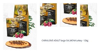 CARNILOVE ADULT large SALMON/turkey - 12kg 1