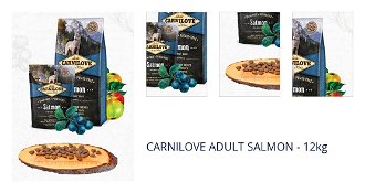 CARNILOVE ADULT SALMON - 12kg 1