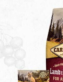 CARNILOVE cat ADULT lamb/wild boar - 400g 6