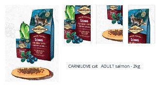 CARNILOVE cat   ADULT salmon - 2kg 1