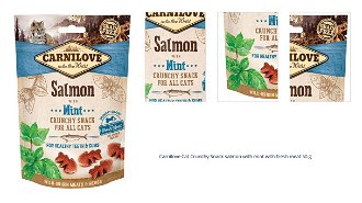 Carnilove Cat Crunchy Snack salmon with mint with fresh meat 50 g 1