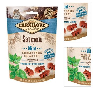 Carnilove Cat Crunchy Snack salmon with mint with fresh meat 50 g 3