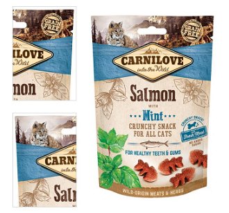 Carnilove Cat Crunchy Snack salmon with mint with fresh meat 50 g 4