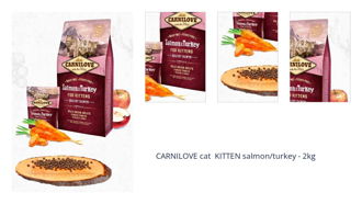CARNILOVE cat KITTEN salmon/turkey - 2kg 1