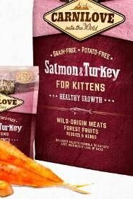 CARNILOVE cat  KITTEN salmon/turkey - 400g 5