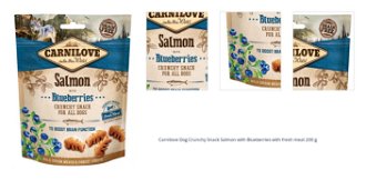 Carnilove Dog Crunchy Snack Salmon with Blueberries with fresh meat 200 g 1