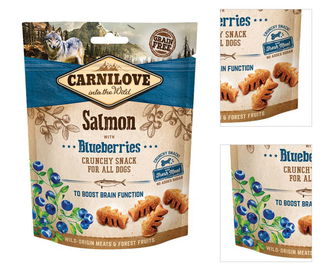 Carnilove Dog Crunchy Snack Salmon with Blueberries with fresh meat 200 g 3