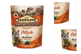 Carnilove Dog Pouch Paté pštros a černice 300 g 3