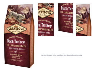 Carnilove Duck and Turkey Large Breed Cats - Muscles ,Bones, Joints 6kg 1