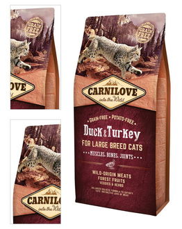 Carnilove Duck and Turkey Large Breed Cats - Muscles ,Bones, Joints 6kg 4