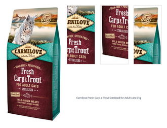 Carnilove Fresh Carp a Trout Sterilised for Adult cats 6 kg 1