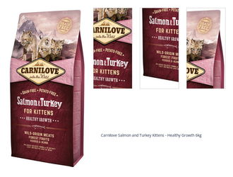 Carnilove Salmon and Turkey Kittens - Healthy Growth 6kg 1