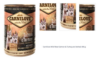 Carnilove Wild Meat Salmon & Turkey pre šteňatá 400 g 1