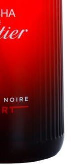 Cartier Pasha de Cartier Edition Noire Sport toaletná voda pre mužov 100 ml 9