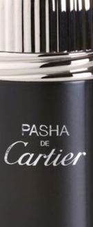 Cartier Pasha de Cartier Edition Noire toaletná voda pre mužov 100 ml 5