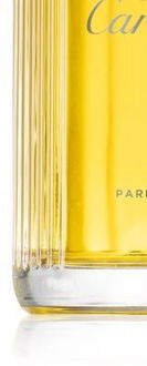 Cartier Pasha de Cartier parfém pre mužov 100 ml 8