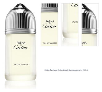 Cartier Pasha de Cartier toaletná voda pre mužov 100 ml 1