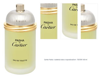 Cartier Pasha - EDT - TESTER 100 ml 1